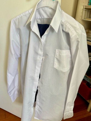 Pilot carnival costume used