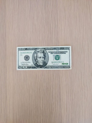 USA 20 Dollar Banknote 1996 used
