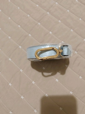 Carpisa faux leather strap new, soft blue
