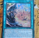 Branded in High Spirits κάρτα Yu-Gi-Oh! σαν καινούργιο