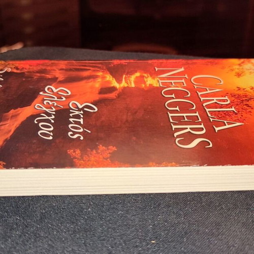 Out of Control book like new