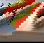 Adidas παιδικά ποδοσφαιρικά.