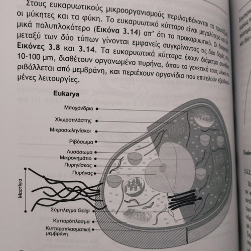 Environmental Microbiology new book
