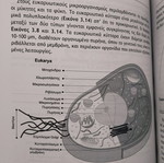 Environmental Microbiology new book