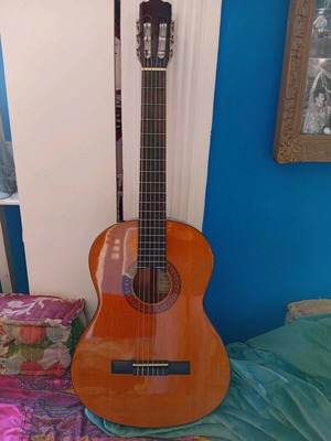 Walden Standard classical guitar model n350 like new