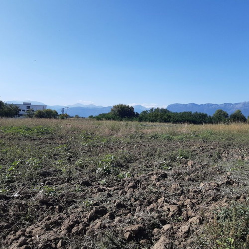 Buildable agricultural land 6,196 sqm in Agioi Apostoloi Trikala