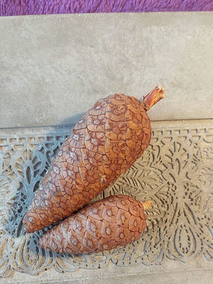 Pine cones set of 2 for Christmas decoration