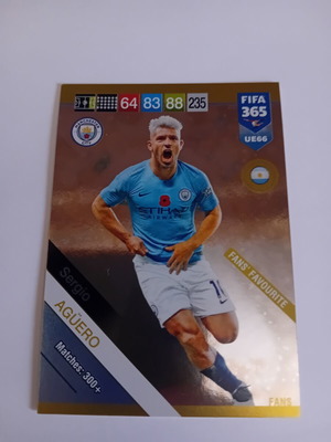 Panini FIFA 365 2019 Aguero card like new