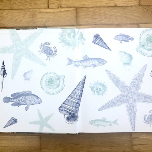 The House by the Sea Decoration Book by Andrea Spencer new, hardcover