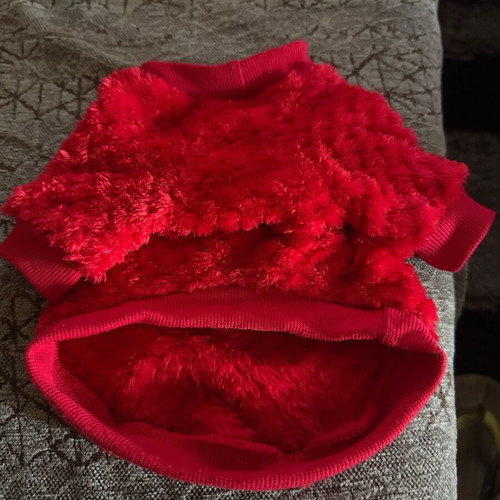Small dog shirt like new for small dog