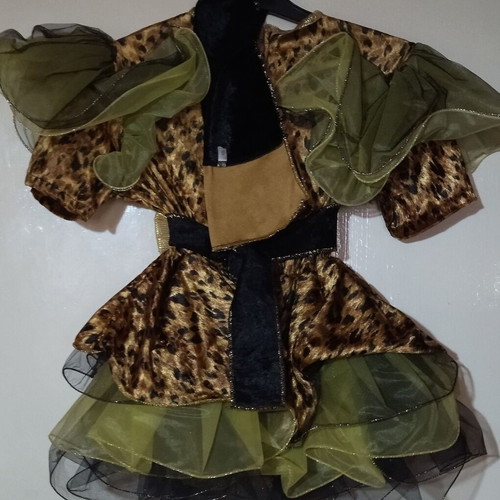 Carnival Costume Kids Tigre Used, Size 6