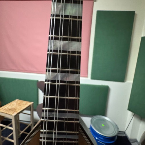 Rafaelle Calace Mandolin Model 15 New Neapolitan