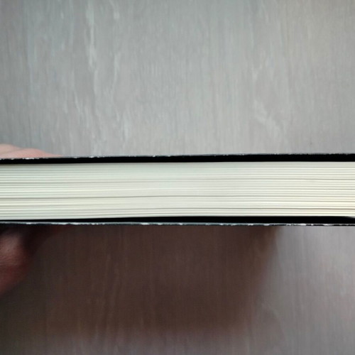 The Mania with Caravaggio book like new