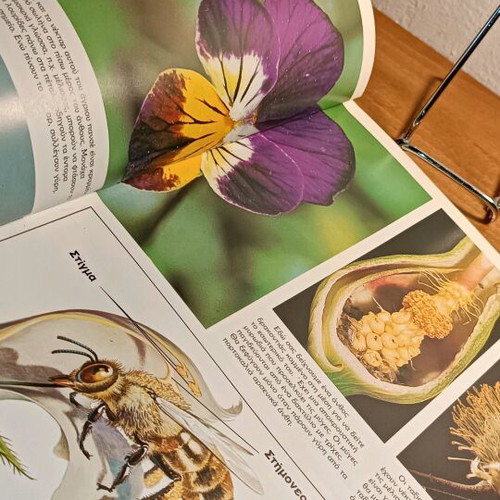Plants used color thematic encyclopedia “Our World”