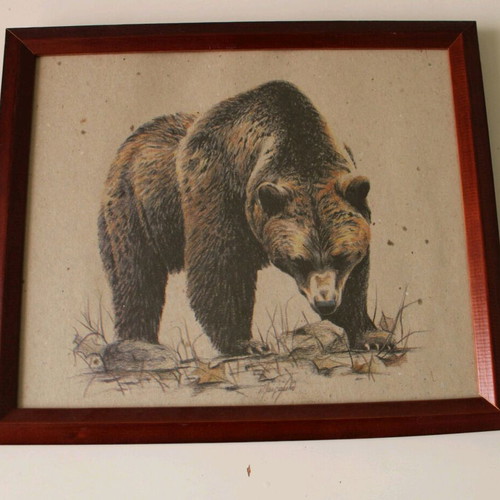 Bear print framed art like new (34x29)
