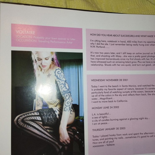 SuicideGirls book like new, English, photography and art