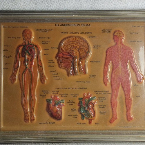 Celluloid The Human Body used in frame