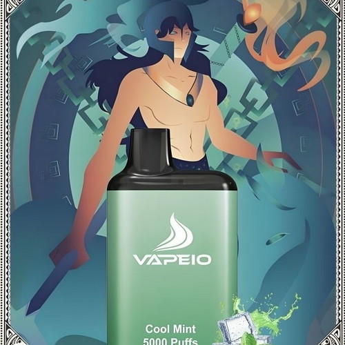 Cool Mint 5000 puffs electronic cigarette new