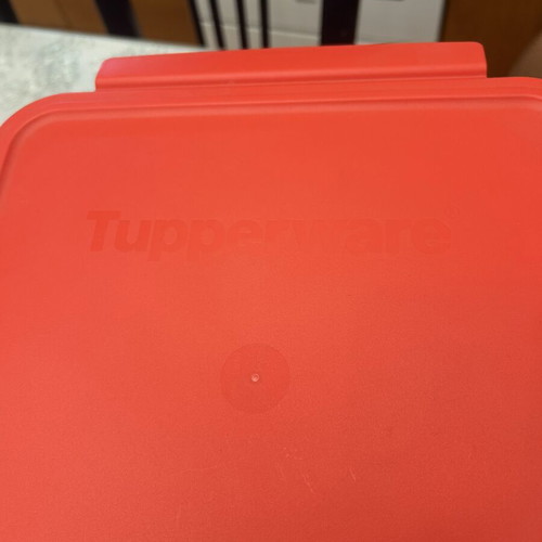 Tupperware plastic container new