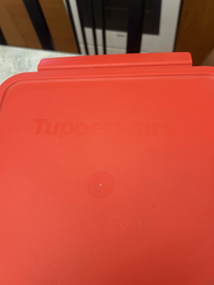 Tupperware plastic container new