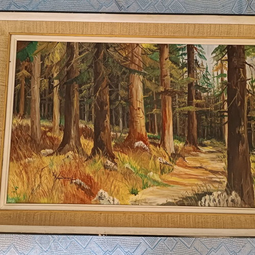 Oil painting used by K.Karathanasis, theme forest, 50x70cm
