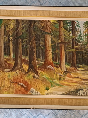 Oil painting used by K.Karathanasis, theme forest, 50x70cm