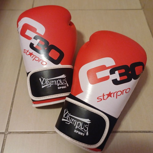 Olympus boxing gloves leather like new