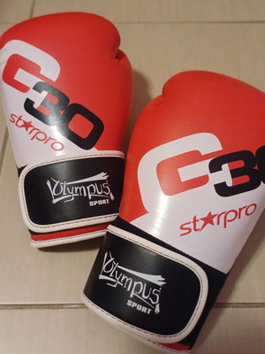Olympus boxing gloves leather like new