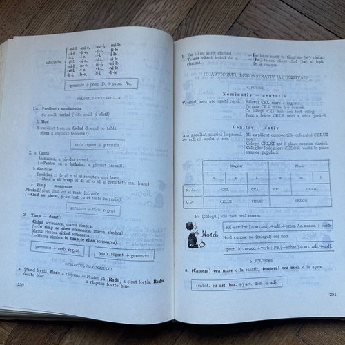 Romanian language manual for foreign students used