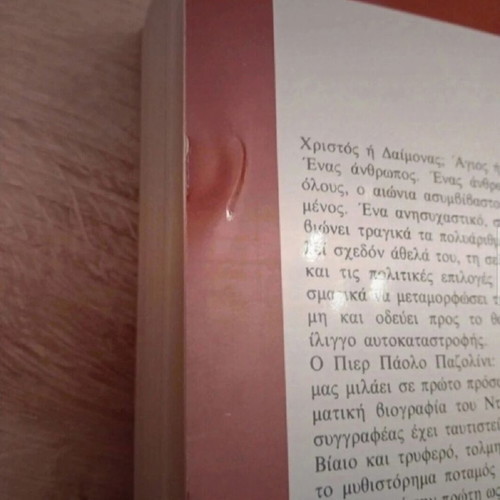 I Am Pier Paolo Pasolini in the Hands of the Angel book like new