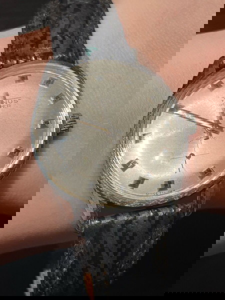 Venus Super Incabloc