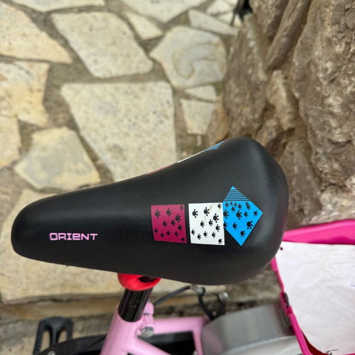 Orient Terry 14-inch children's city bike