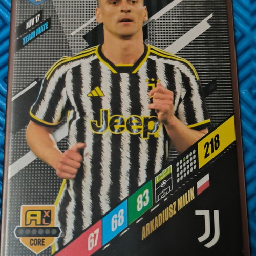 Panini FIFA 365 Team Mates 5-Card Set like new with sleeves