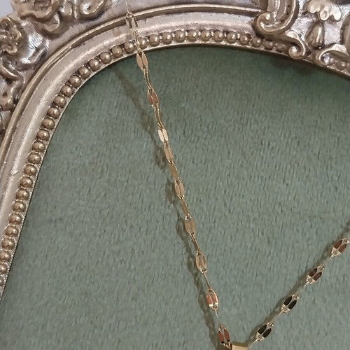 Seahorse Gold Steel Necklace used with missing strass