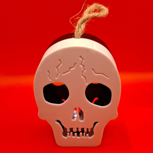 Decorative Skull Light Like New