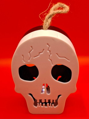 Decorative Skull Light Like New