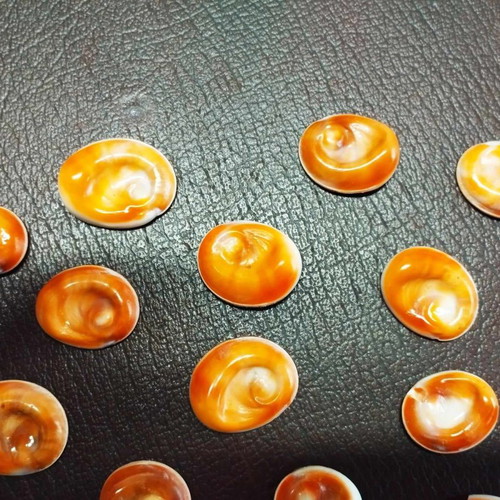 Sea eyes new, pack of 30 pieces for jewelry making