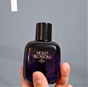 Violet Blossom Zara