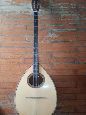 Tetrachordo Bouzouki used with Ritter case and JOYO tuner