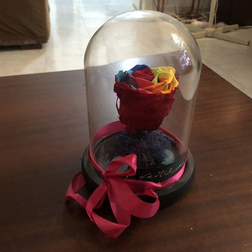 Forever Rose rainbow in glass dome with wooden base