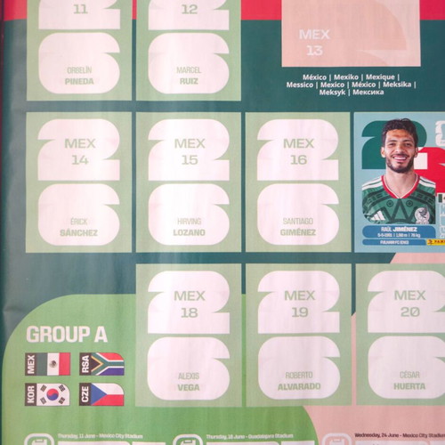 Panini World Cup 2026 album with 10 Adrenalyn cards and 11 stickers