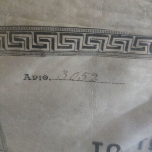 Official Medical Degree 1899 with Kostis Palamas Signature used