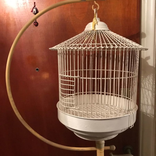 Birdcage old retro antique vintage used