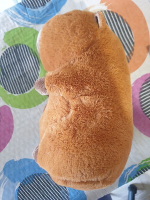 Capybara plush new, box only