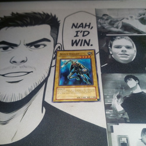 Insect Knight Yu-Gi-Oh! card used