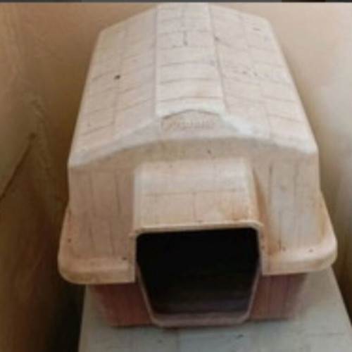 Dog house for small dogs like new