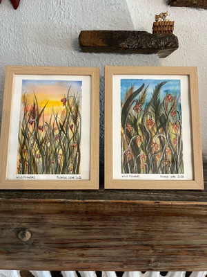Watercolor in frame new, handmade 22x17