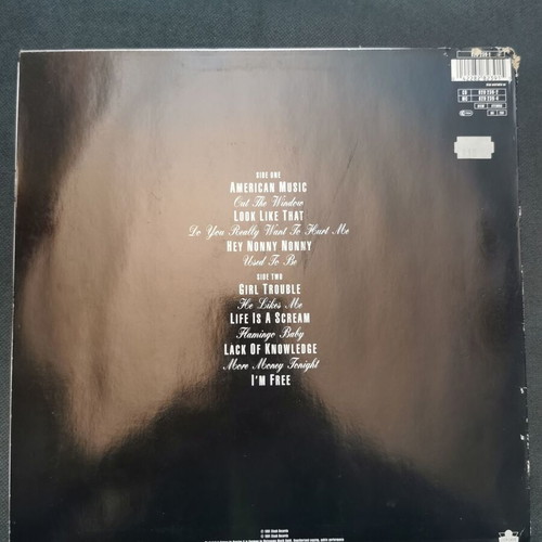 Violent Femmes Why Do Birds Sing? Vinyl LP used 1991 original pressing