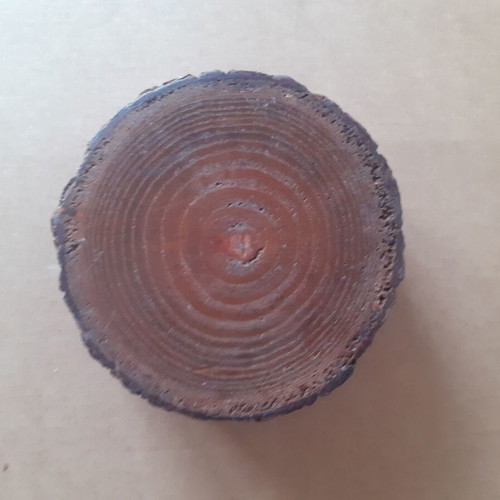 Wooden rustic tree trunk ashtray like new