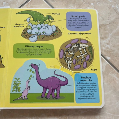 Little Explorers Dinosaurs used book with flaps